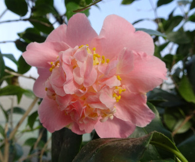 DSC07505.jpg