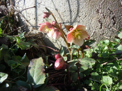 DSCN0643.JPG