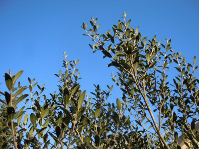 DSCN0635.JPG