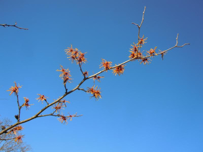 DSCN0631.JPG