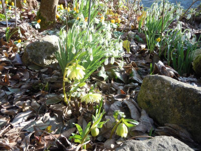 DSCN0641.JPG