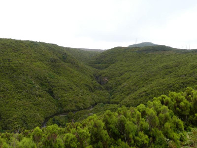2020-09-17 Levada do Risco P1170148.JPG