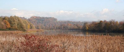 Bavarian-autumn-1.jpg