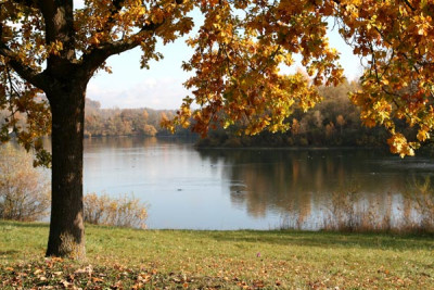 Bay.-Herbst-1.jpg