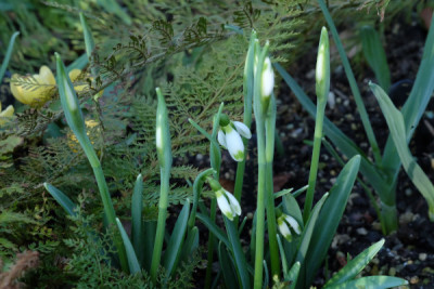 DSCF3776_5263.JPG