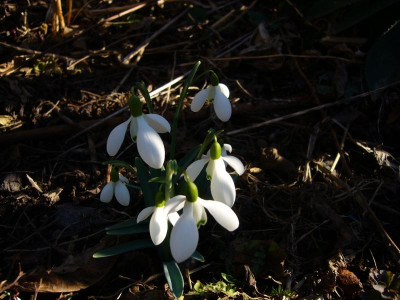 P1050265.JPG