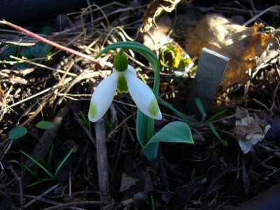P1050266.JPG