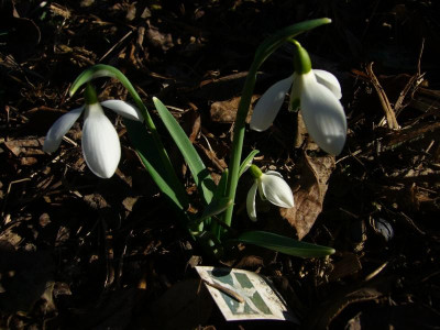 P1050271.JPG
