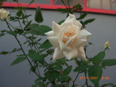 k-CIMG0247.JPG