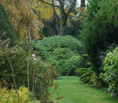Gartenansichten_1_01-11-2007.jpg