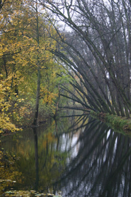 Schloss-Wickrath-2007-11-03_9499.jpg
