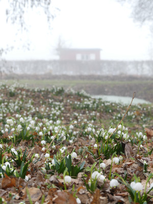 2021-03-02 Uebigau 1.jpg