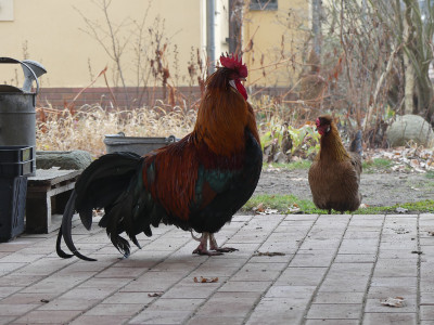 2021-03-02 Uebigau 2.jpg