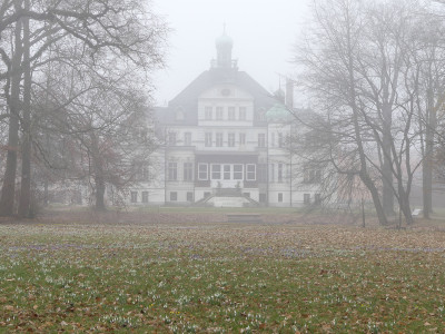 2021-03-02 Uebigau 4.jpg