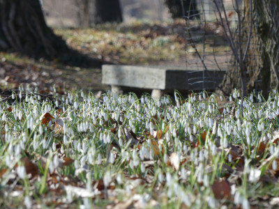 2021-03-02 Uebigau 6.jpg