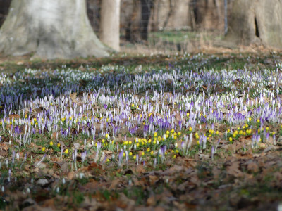 2021-03-02 Uebigau 9.jpg