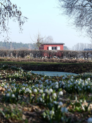 2021-03-02 Uebigau 16.jpg