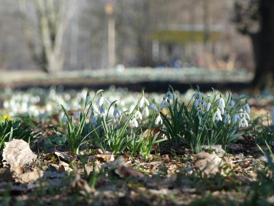 2021-03-02 Uebigau 23.jpg