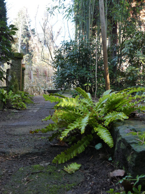 2021-03-02 Uebigau Saxdorf 1.jpg