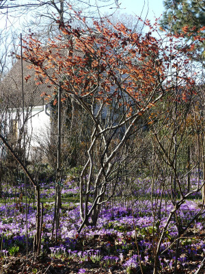 2021-03-02 Uebigau Saxdorf 7.jpg