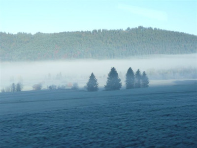 02.11.2007.9.JPG