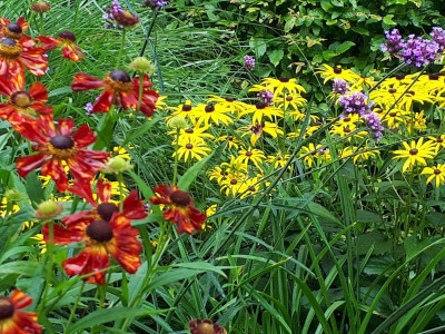 20190818_110736.jpg