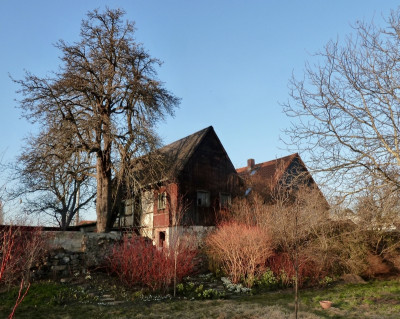 tg_210301.jpg