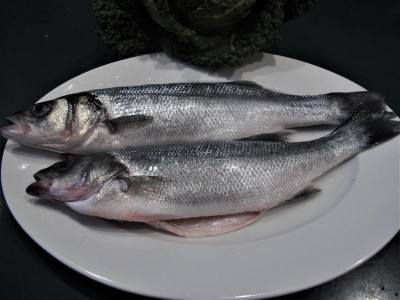 branzino.JPG