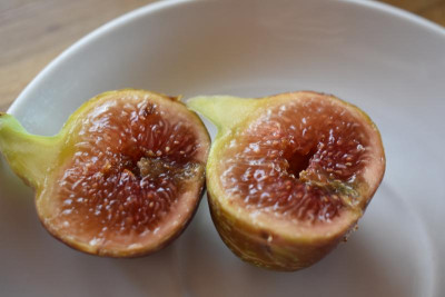 rote  Feige 001.JPG