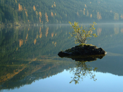 bewachsenes-Raumschiff.jpg