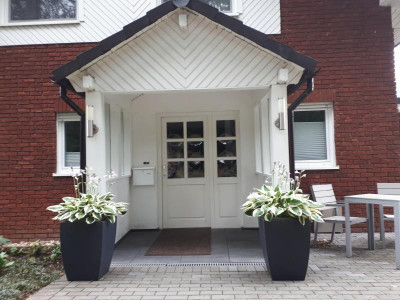 20190717_105434.jpg