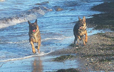 Ostsee6108.jpg