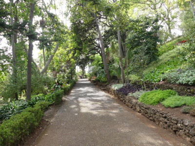2020-09-21 Jardim Botânico P1180638.JPG