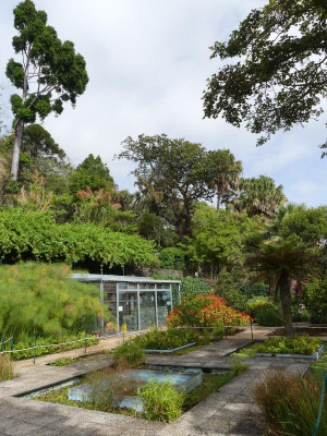 2020-09-21 Jardim Botânico P1180647.JPG