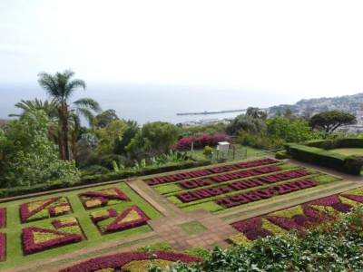 2020-09-21 Jardim Botânico P1180674.JPG