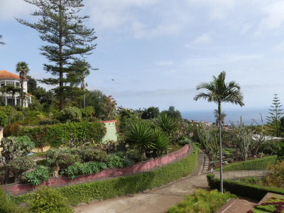 2020-09-21 Jardim Botânico P1180687.JPG