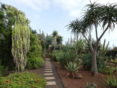 2020-09-21 Jardim Botânico P1180714.JPG