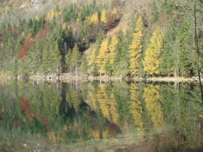 Langbathsee.jpg