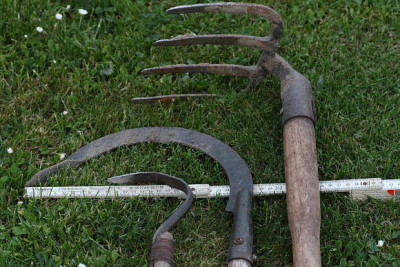Sauzahn.jpg