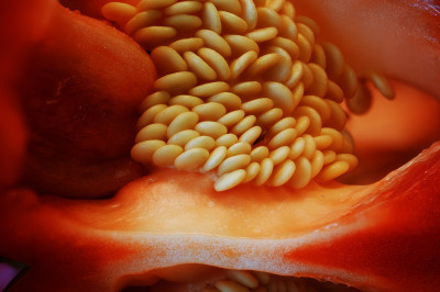20210307_1.jpg
