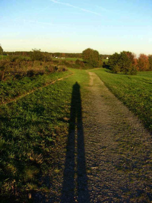 Long_Shadows_1.jpg