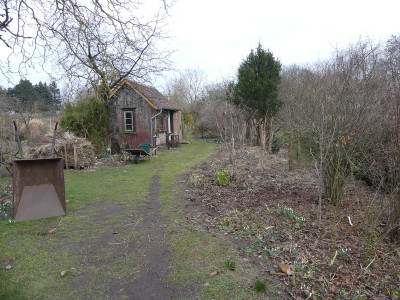 2021-03-07 Garteneinblick 0.jpg