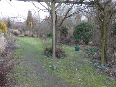 2021-03-07 Garteneinblick 2.jpg