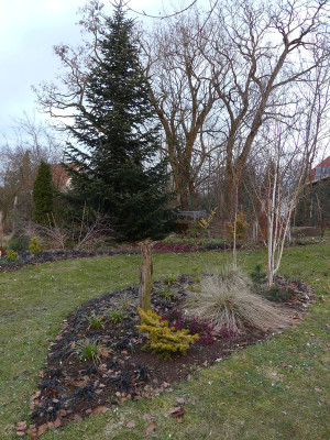 2021-03-07 Birkenhain 2.jpg