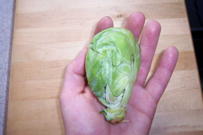 K640_100_4598.JPG