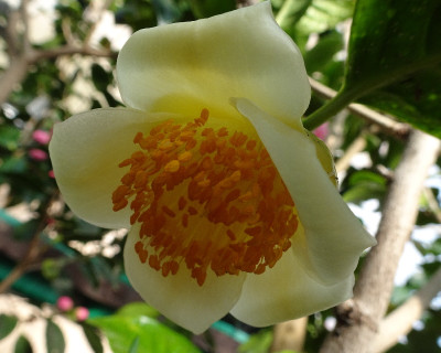 DSC07535.jpg