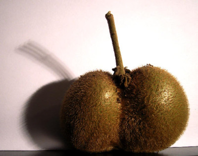 R0012608_Kiwi_klein.jpg