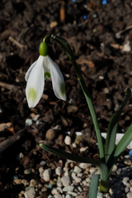 DSCF3924_5315.JPG