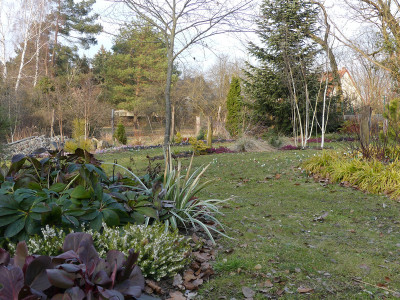 2021-03-10 Birkenhain 5.jpg