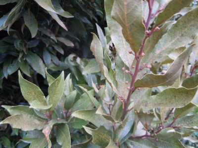 DSCN0678.JPG